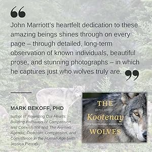 The Kootenay Wolves: Five Years Following a Wild Wolf Pack