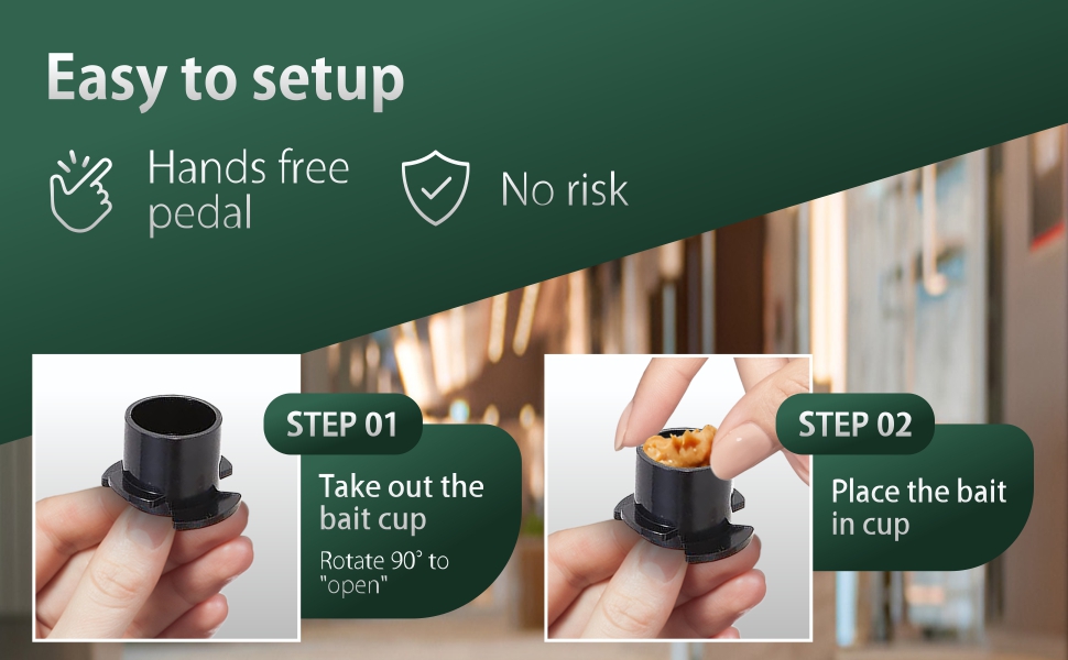 Rat trap being shown how to get used and set up