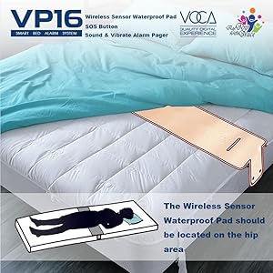 VP16