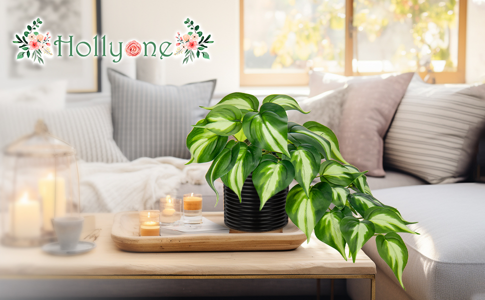 Fake Plants