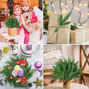 Highlight1B Flexible