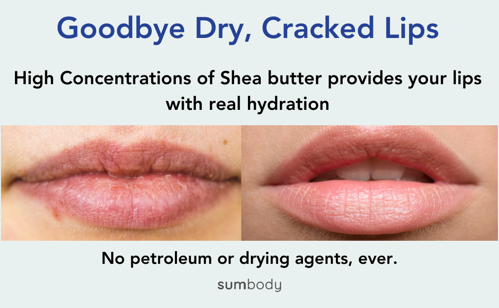 Sumbody Skincare Lip Quartet