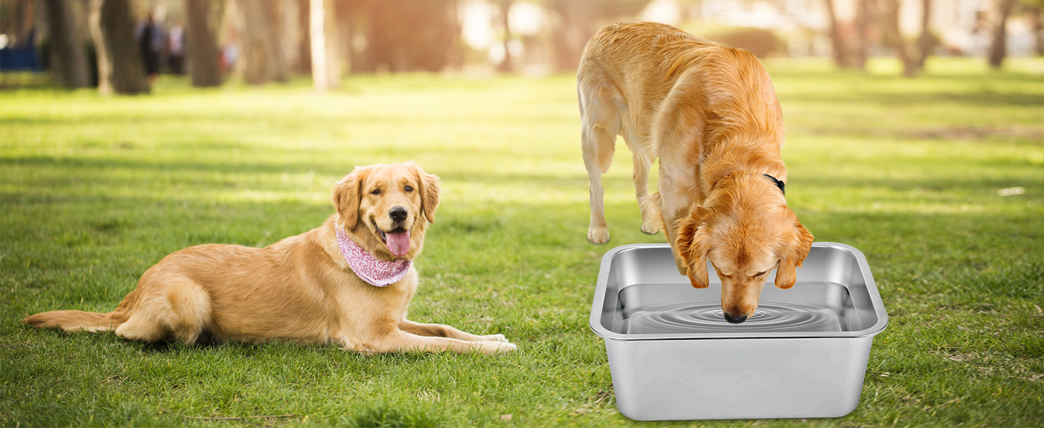 Pet Supplies BWOGUE 4 Gallons Extra Large Dog Water Bowl for Large Dogs, Outdoor Stainless