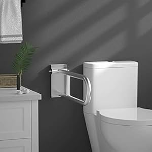 Behinderten-Toilettenbar