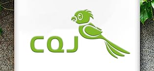 7afc4a0c a76b 448e a873 dfdea5322498. CR0,405,1500,690 PT0 SX315 V1