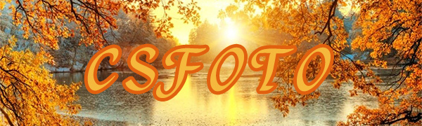 CSFOTO Fall Lake Sunrise Backdrop