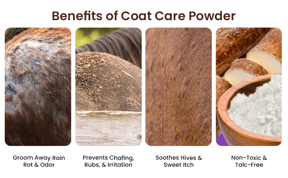 blankets therapeutic dry free from synthetic chemicals