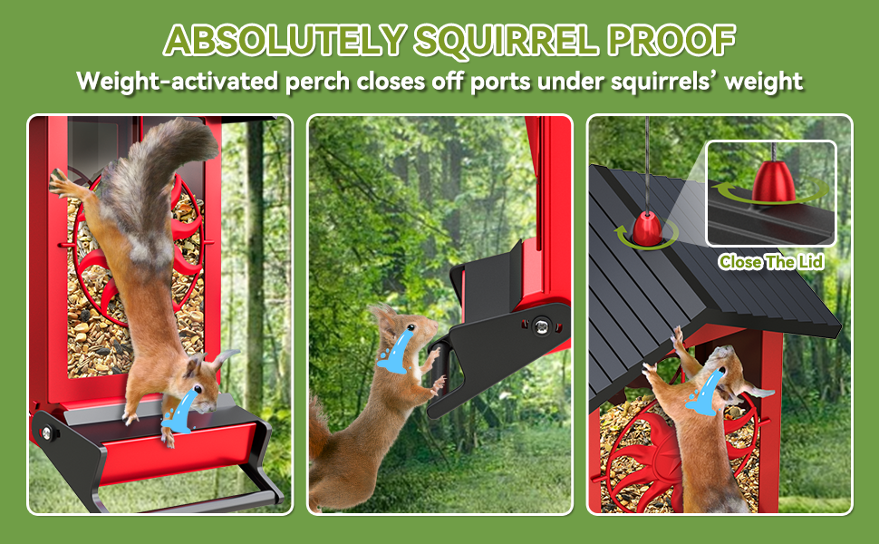 bird feeders for outdoors