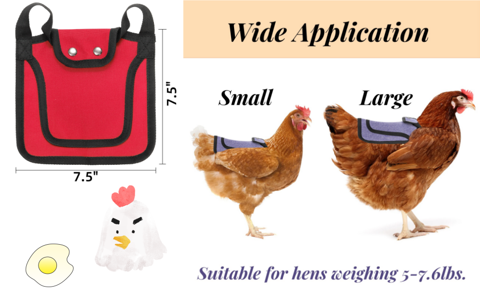 Noamus 3 Pack Premium Chicken Saddles with Adjustable