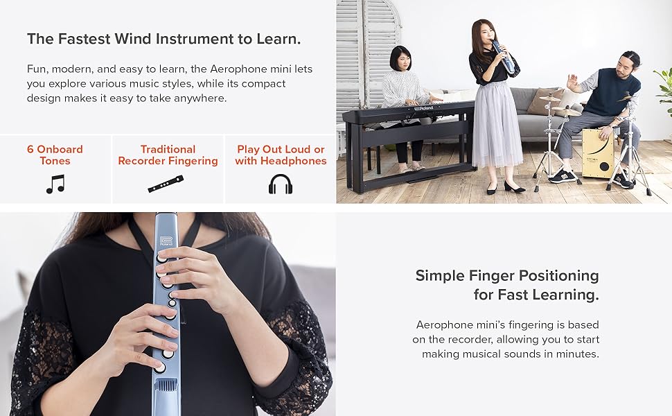 Nintendo Switch Aerophone mini   AE-01 Roland AE-01 Aerophone mini | Compact Digital Wind