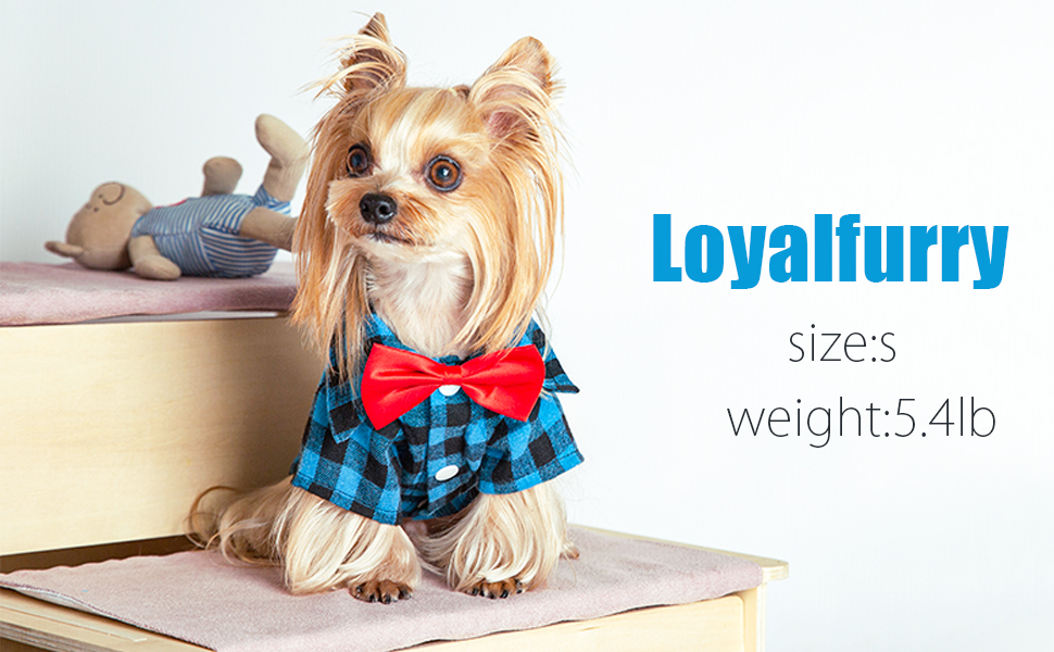 dog outfit for samll dogs boy girls