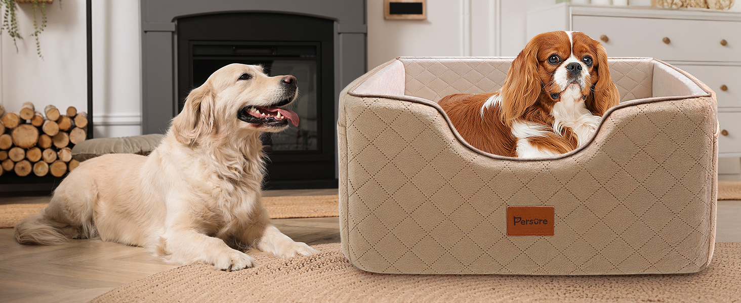 car seat for dogs small 5 - 15 lbs