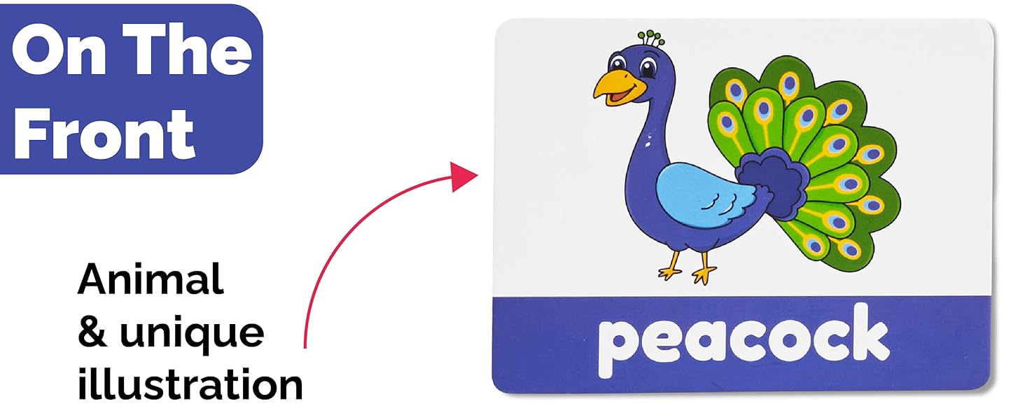 Learn with me flash cards
