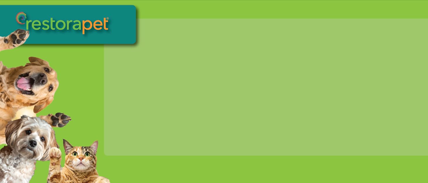 correct dimension brandstory background