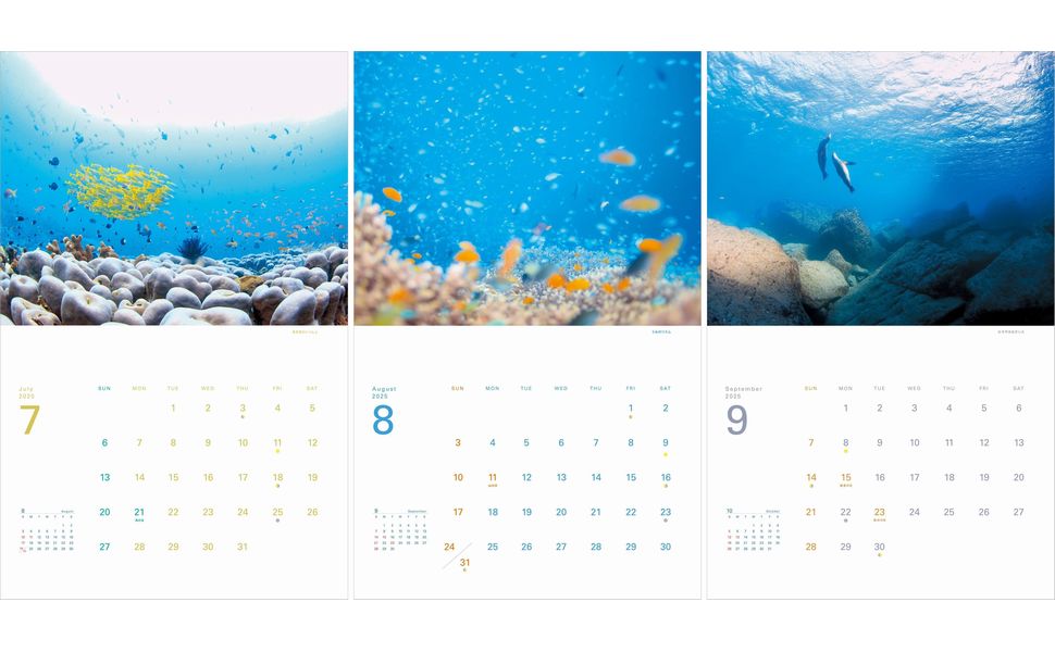 カレンダー2025 しあわせのうみ 世界一きれいな海（月めくり