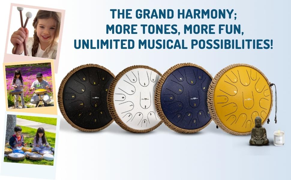 The Balmy Drum 15 Note 14 Inch Steel Tongue Drum, Steel