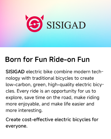 bicicletas electricas ebike for adults clearance electric bikes adult mountain bike