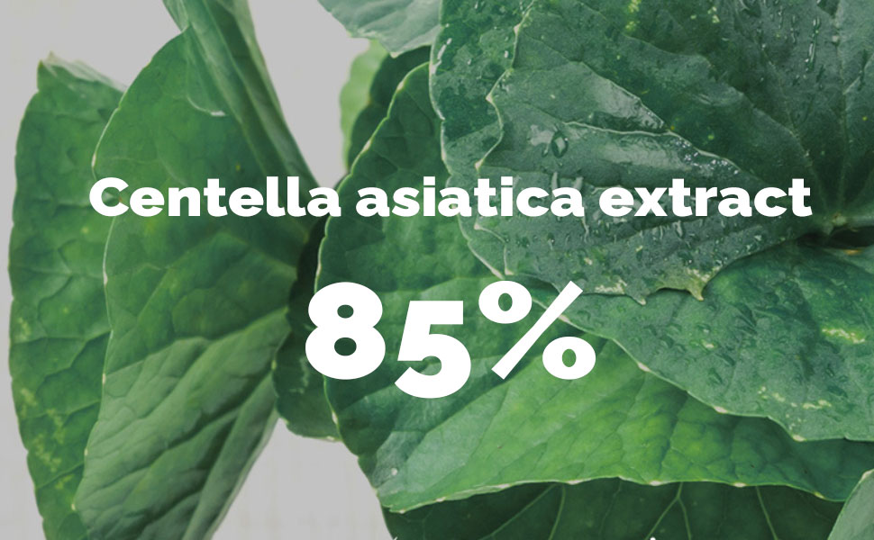 Centella asiatica extract 85