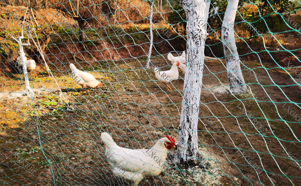 LXGKREL Bird Netting Poultry Netting Chicken Net Heavy