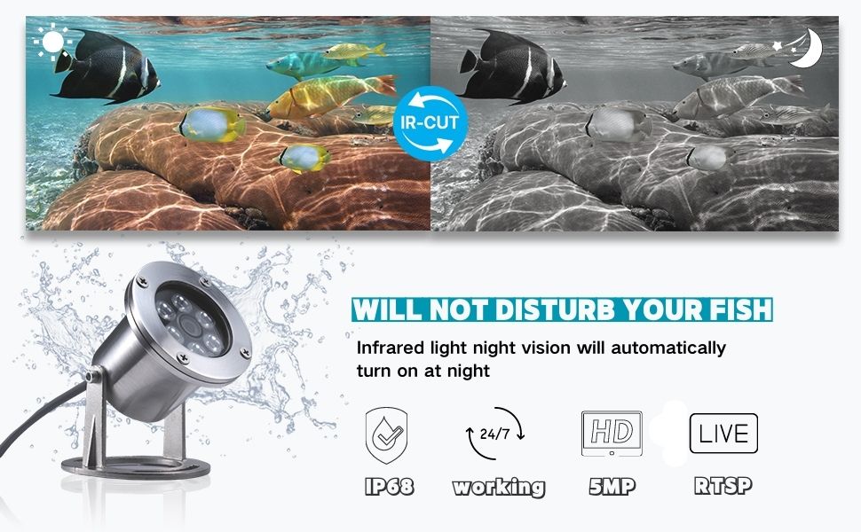 Barlus Underwater Cameras 304 Stainless Steel IP68 5MP POE IP Camera