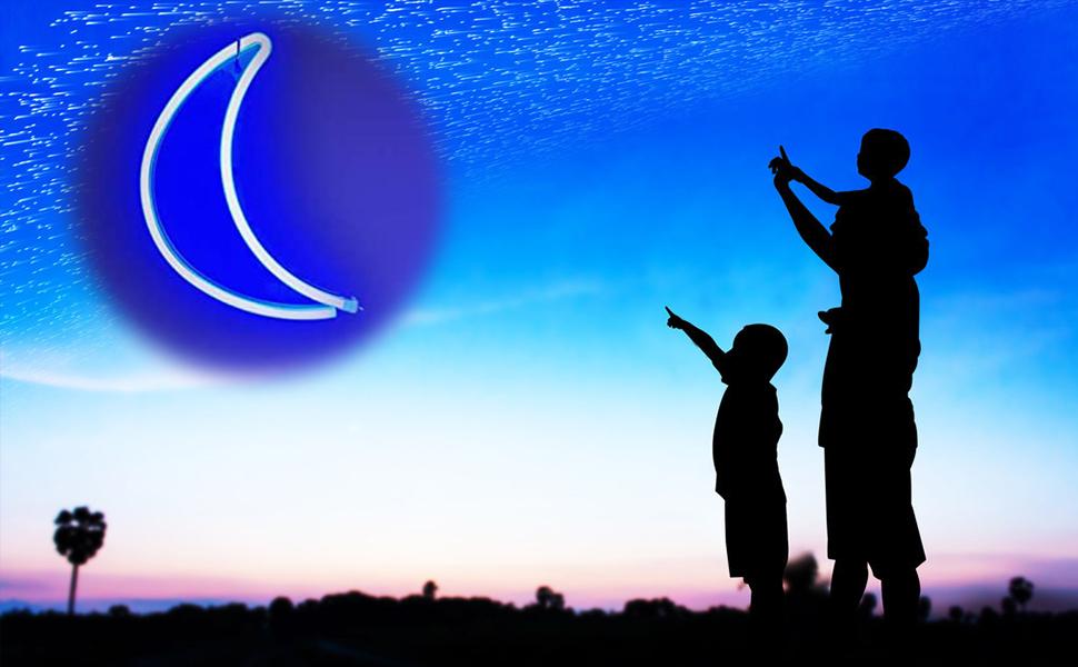 Nordstylee Neon Moon Signs USB or Battery Powered Art Decorative Lights