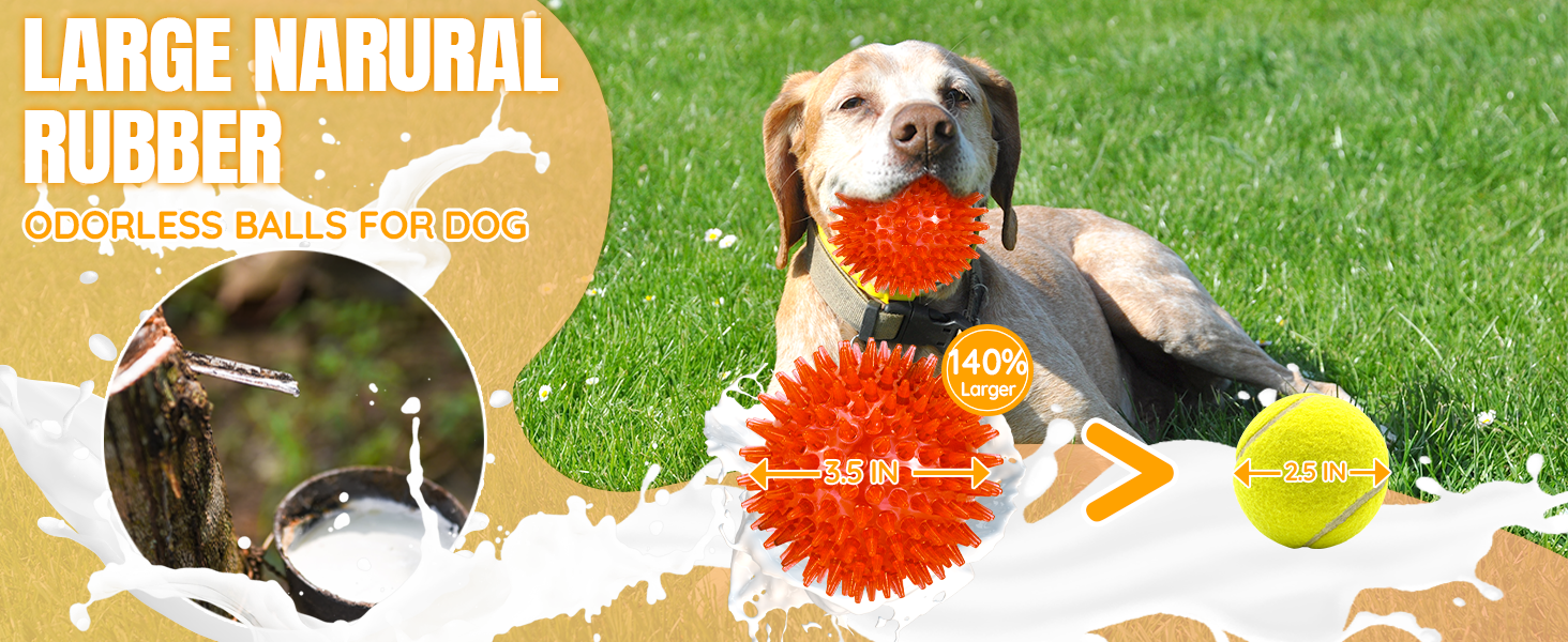 dog squeaky balls 3.5