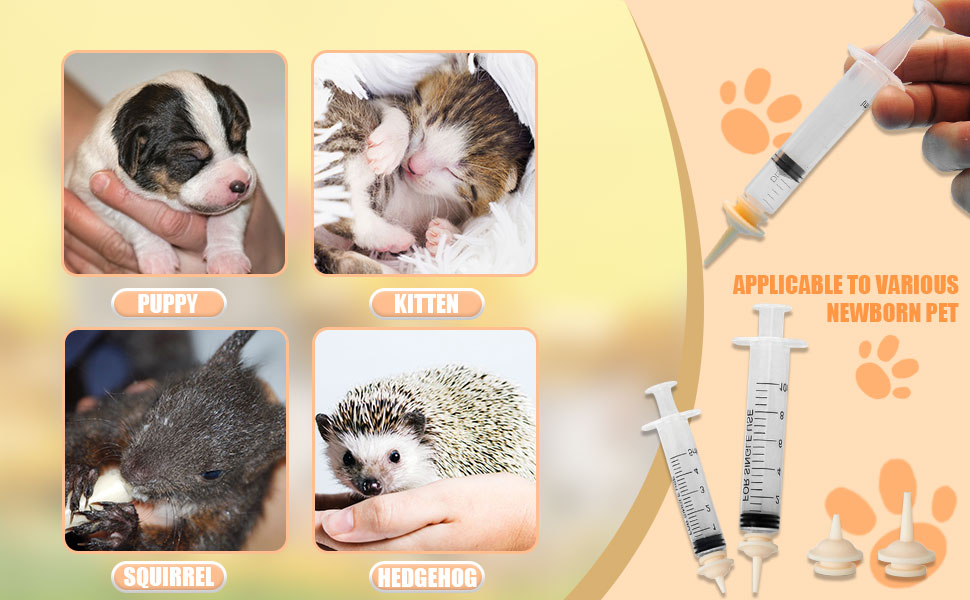 Pet Feeding Syringe 