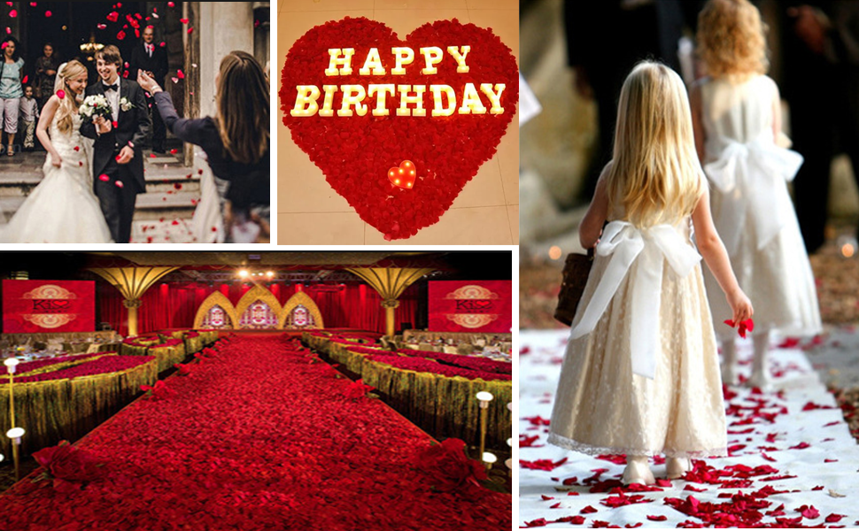 1200 Pieces Rose Petals Fake Red Roses Petals, Artificial Rose