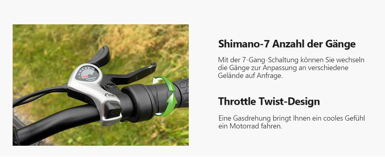 engwe e-bike