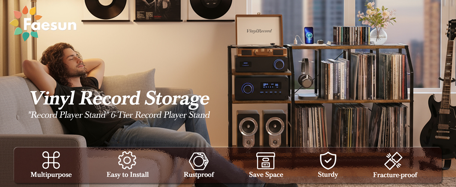 Vinyl Record Sterage