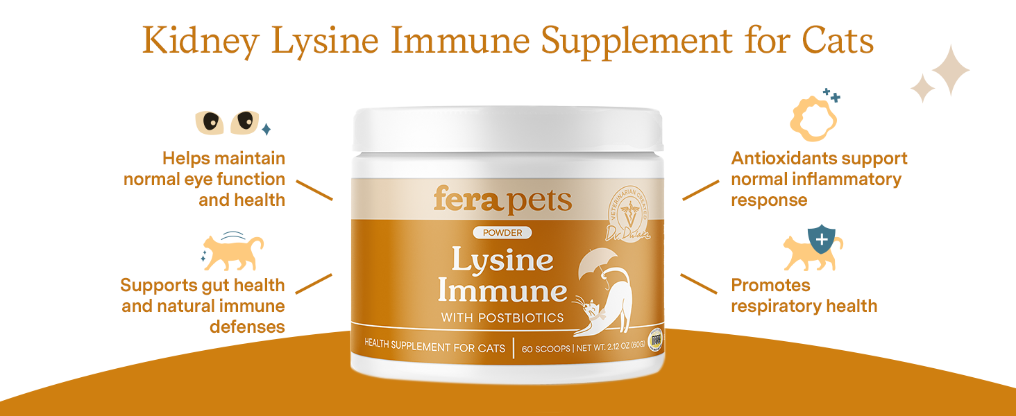 Helps maintain normal eye function and health, gut health and natural immune defenses
