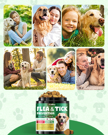 Flea and Tick Prevention for Dogs