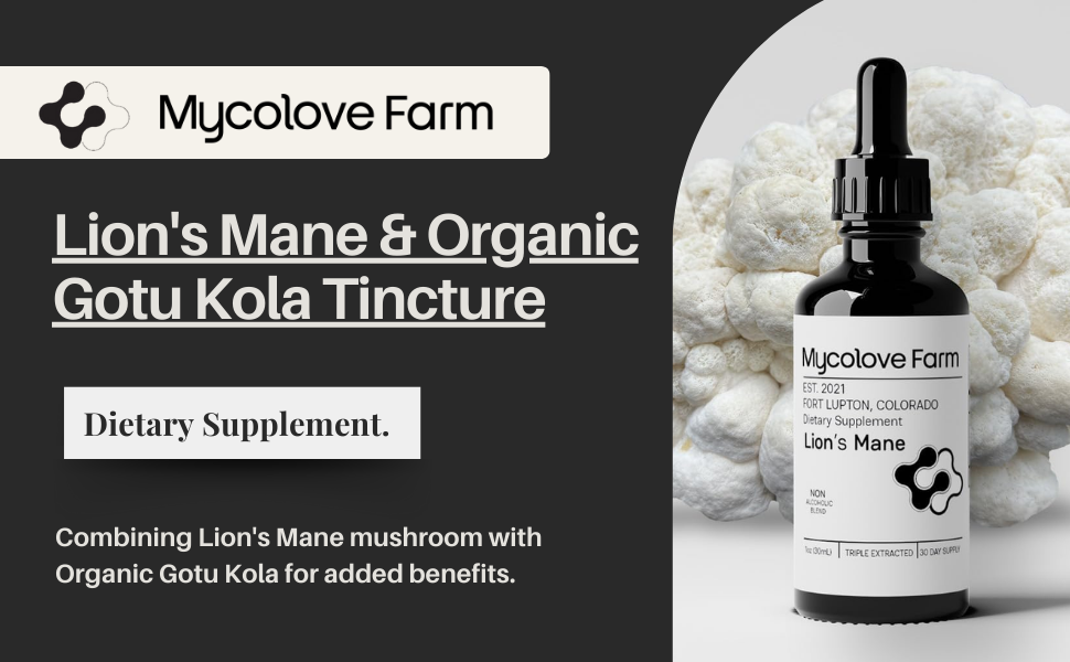 Lion's Mane & Organic Gotu Kola Tincture