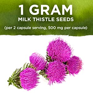 Swanson Milk Thistle