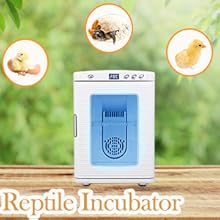Reptile Incubator