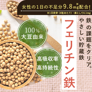 やさしい葉酸  妊活葉酸サプリ 食品説明要確認 やさしい葉酸 妊活葉酸サプリ 🙏食品説明要確認