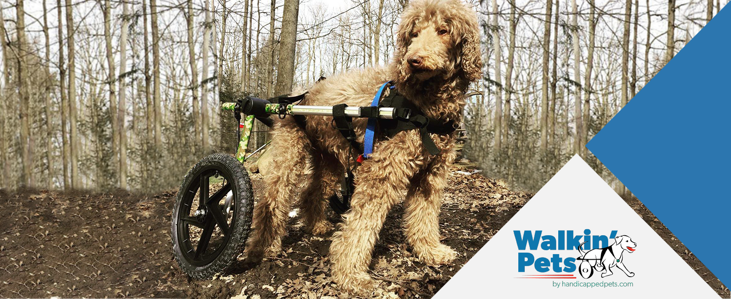 Walkin' Wheels Dog Wheelchair for Large Dogs 70180