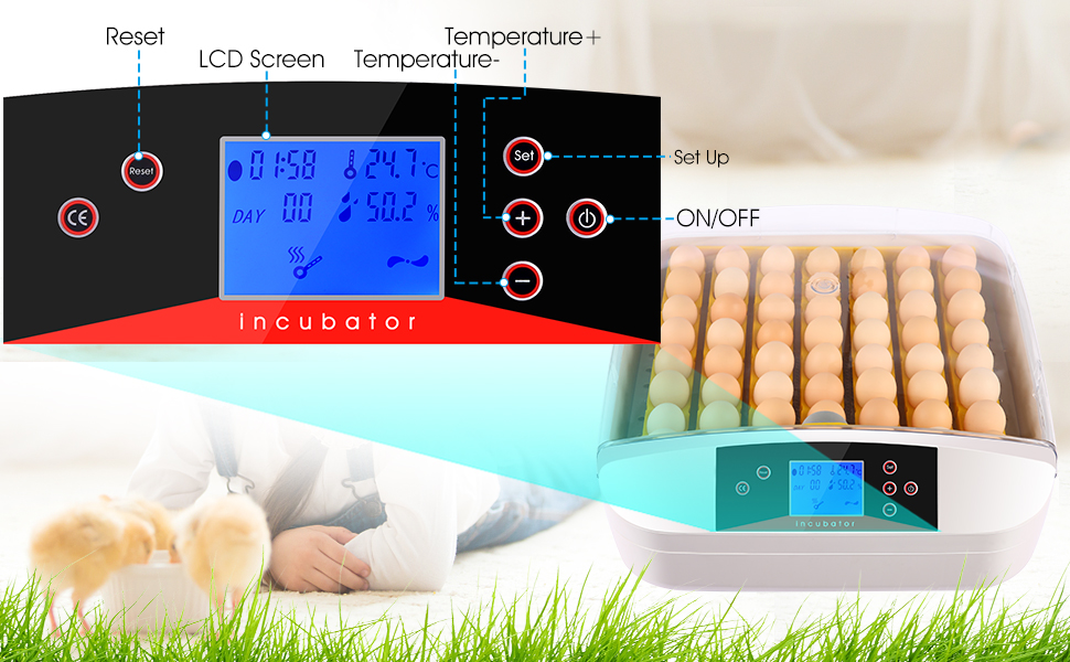 Egg Incubator,42 Incubators for Hatching Eggs,Poultry
