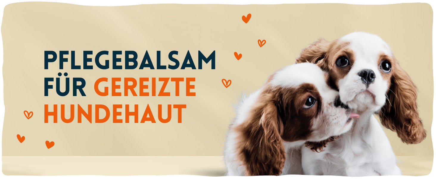 Hunde Pflegestift