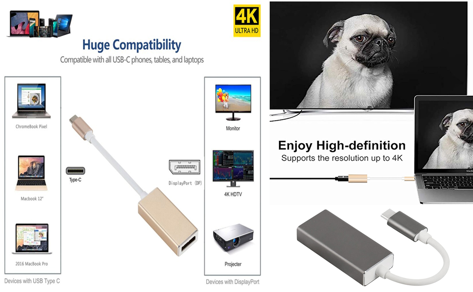 USB C to DisplayPort Adapter USB 3.1 Type C to DP Adapter Converter