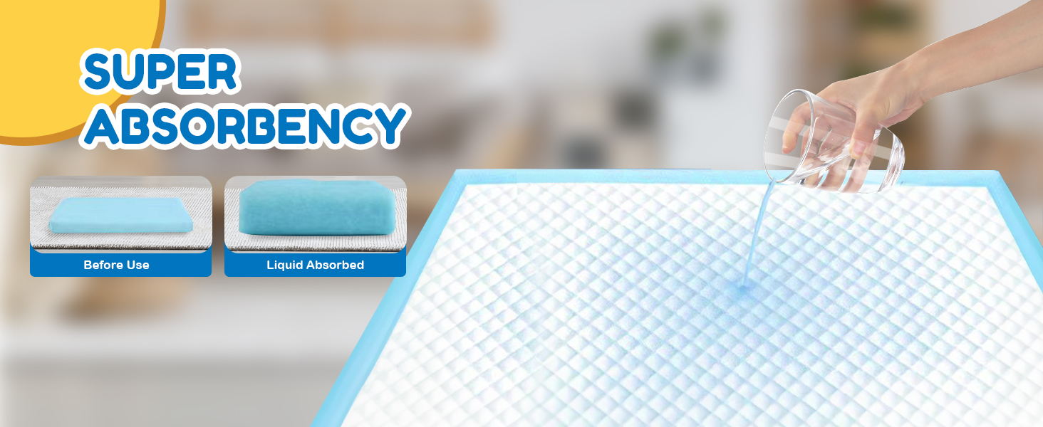  Standard Absorbency