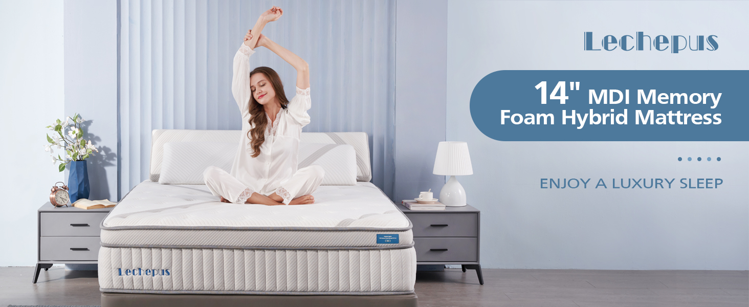 DIGLANT Queen Mattress, 14" Hybrid Memory Foam Mattresses with Pocket