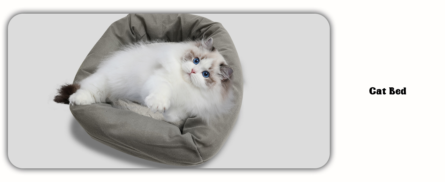 Cat Bed