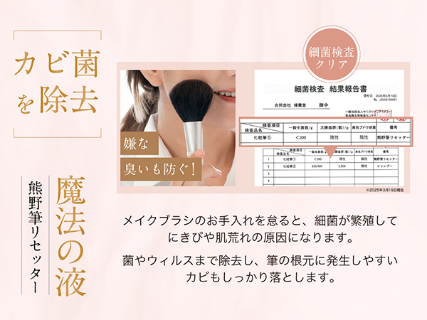 Amazon.co.jp: 博雲堂 熊野筆リセッター メイクブラシクリーナー