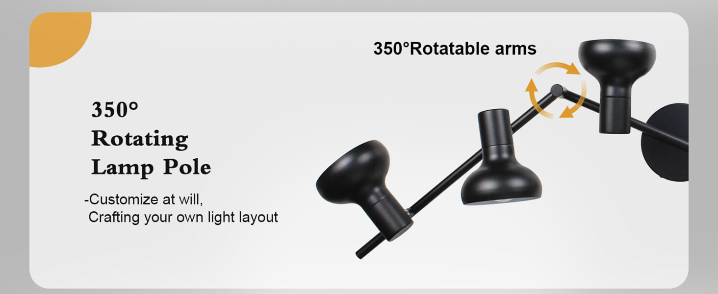roratable ceiling light fixture
