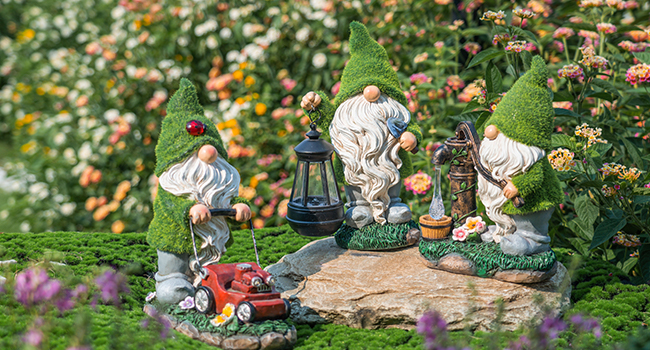 garden