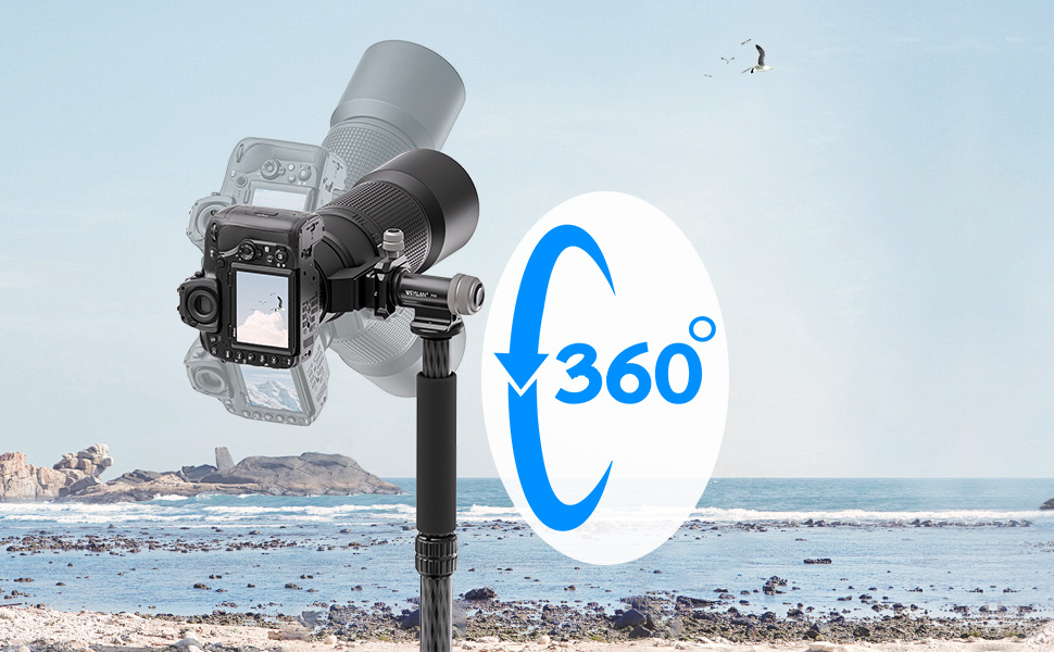Monopod Head