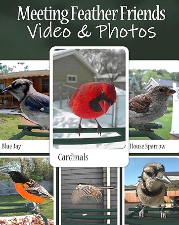 ai bird feeder for outside