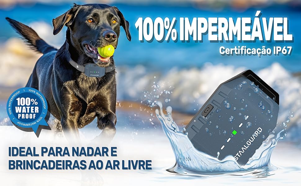 Advertisement for a waterproof electronic device featuring a dog with a tennis ball. Text indicates 100% waterproof with IP67 certification, ideal for swimming and outdoor activities.