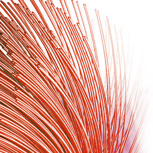 electric toothbrush red